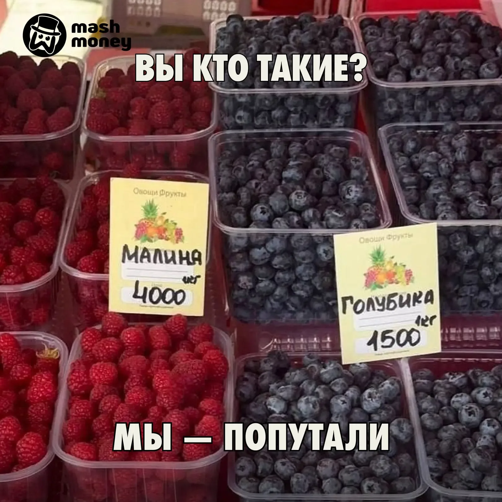 Малина — по 4000 рублей за кило, голубика — 1500, а клубника — 750. Нет, это не сюжет к новому нейро