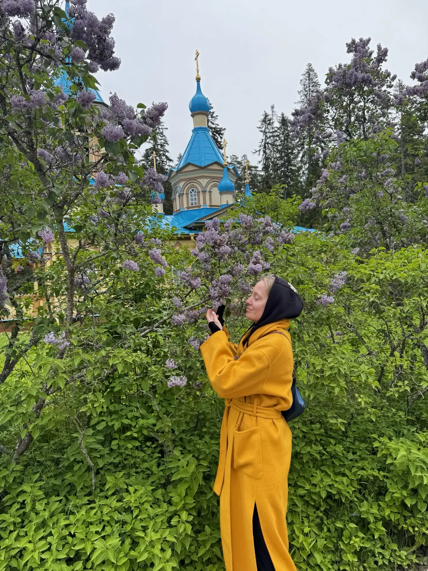Есть цветы, которые радуют глаз, а есть сирень. Она — как первое дыхание весны, воспоминание о детст