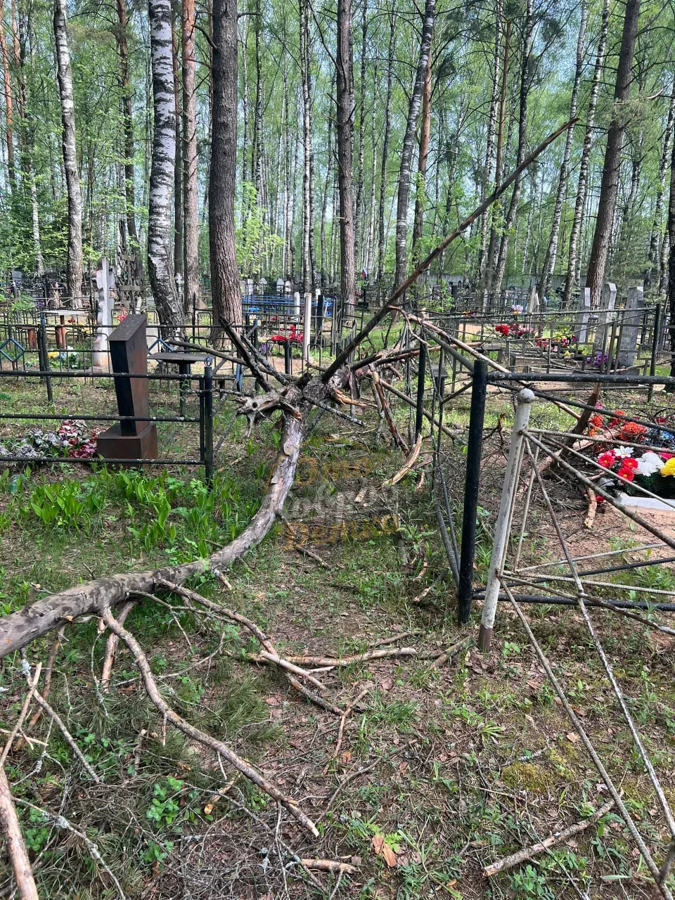 ⚡️ На Андреевском кладбище  Недалеко от входа со стороны Андреевки упало сухое дерево, перекрыв един