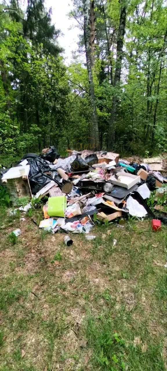 👋 Ваша куча мусора передает вам привет из леса.  Да поселится в каждом углу вашего дома, из которого