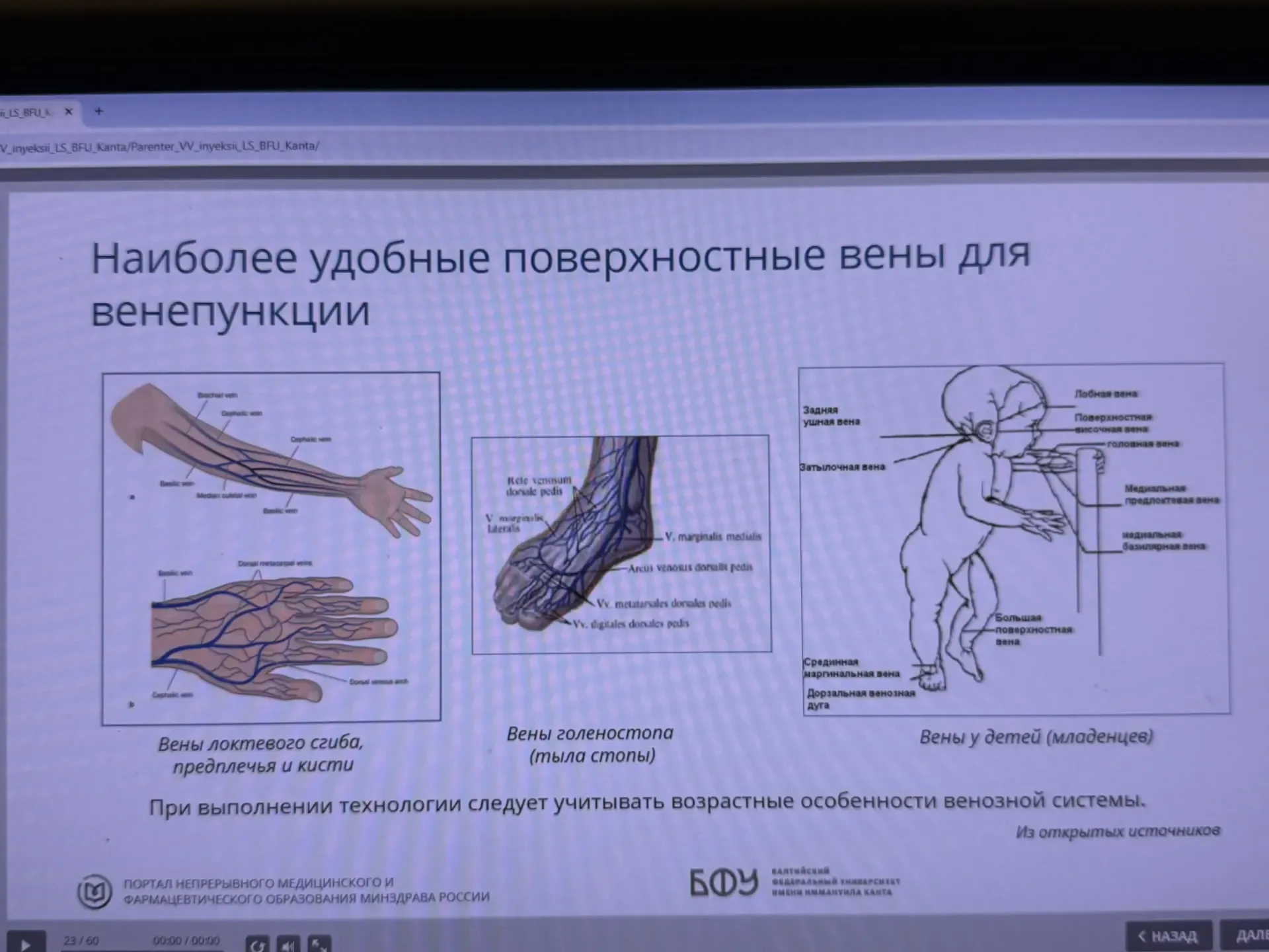 Вот такие заметочки сделала📝  Сделала вечерний обход, всех полечила. Села и прошла обучение..чувству