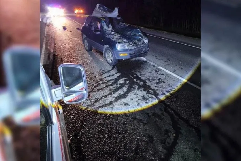 🦌🚗 В Кингисеппском районе автомобиль столкнулся с лосем Ночью с 20 на 21 мая в Кингисеппском районе 