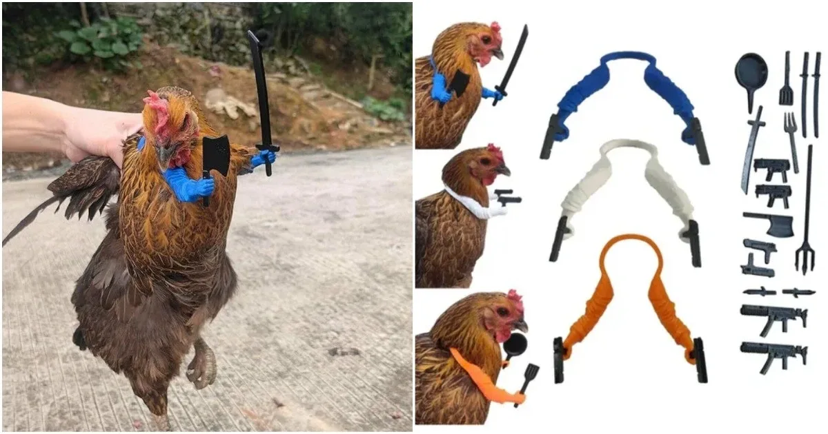 Боевые курочки  🔫🐔 В сети завирусились фотографии странного, но смешного изобретения - съемных «рук»