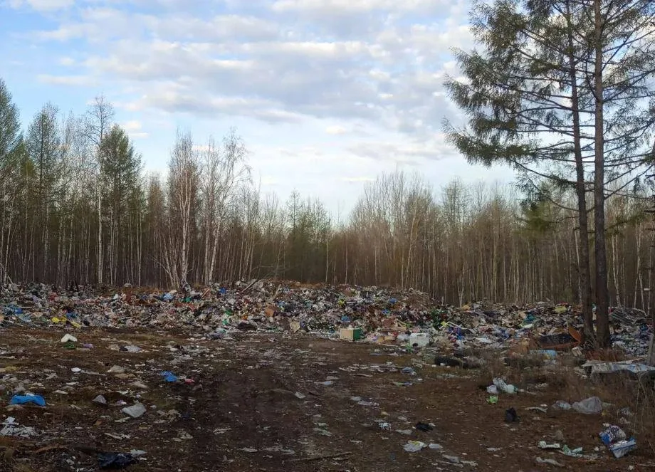🐻Медведи выходят к амурским поселкам в поисках еды  Б№1 в Мах  В Ерофее Павловиче бурого мишку видел