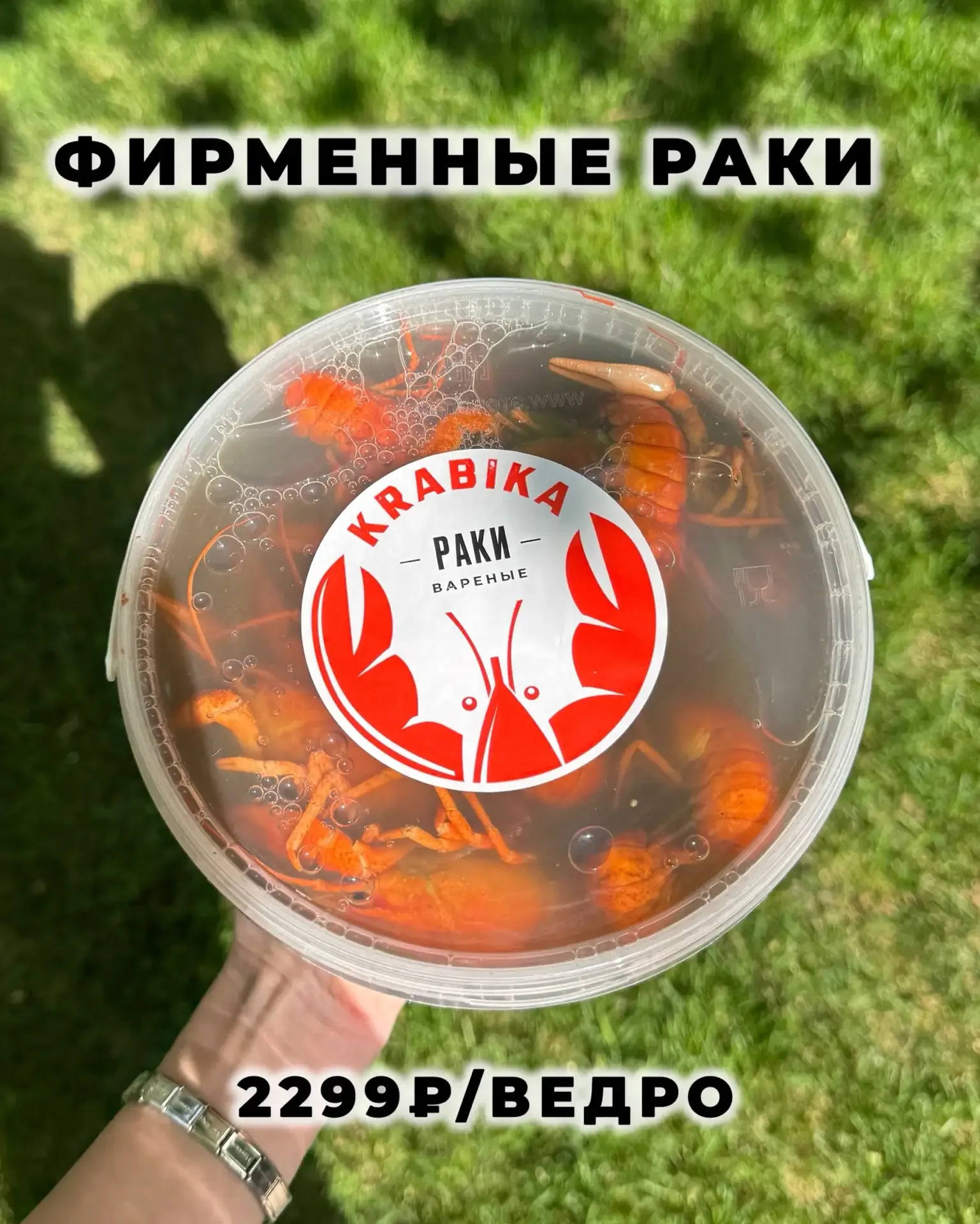 🔥🔥РАКИ🔥🔥 Пятничные, фирменные, обалденные!  Разъехались практически во все магазины сети 😍Приходите!