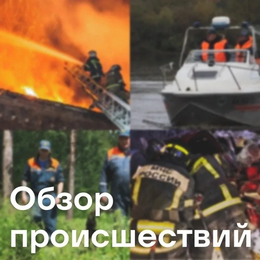 ⚡️За выходные на территории Новгородской области ликвидировано 26 пожаров. Пожарные расчёты тушили ж