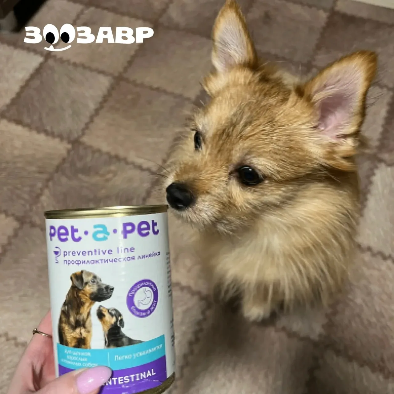 Такой милый отзыв на диетический корм для собак Pet-a-pet!️️️️️ Общие впечатления: Даем неделю, упле