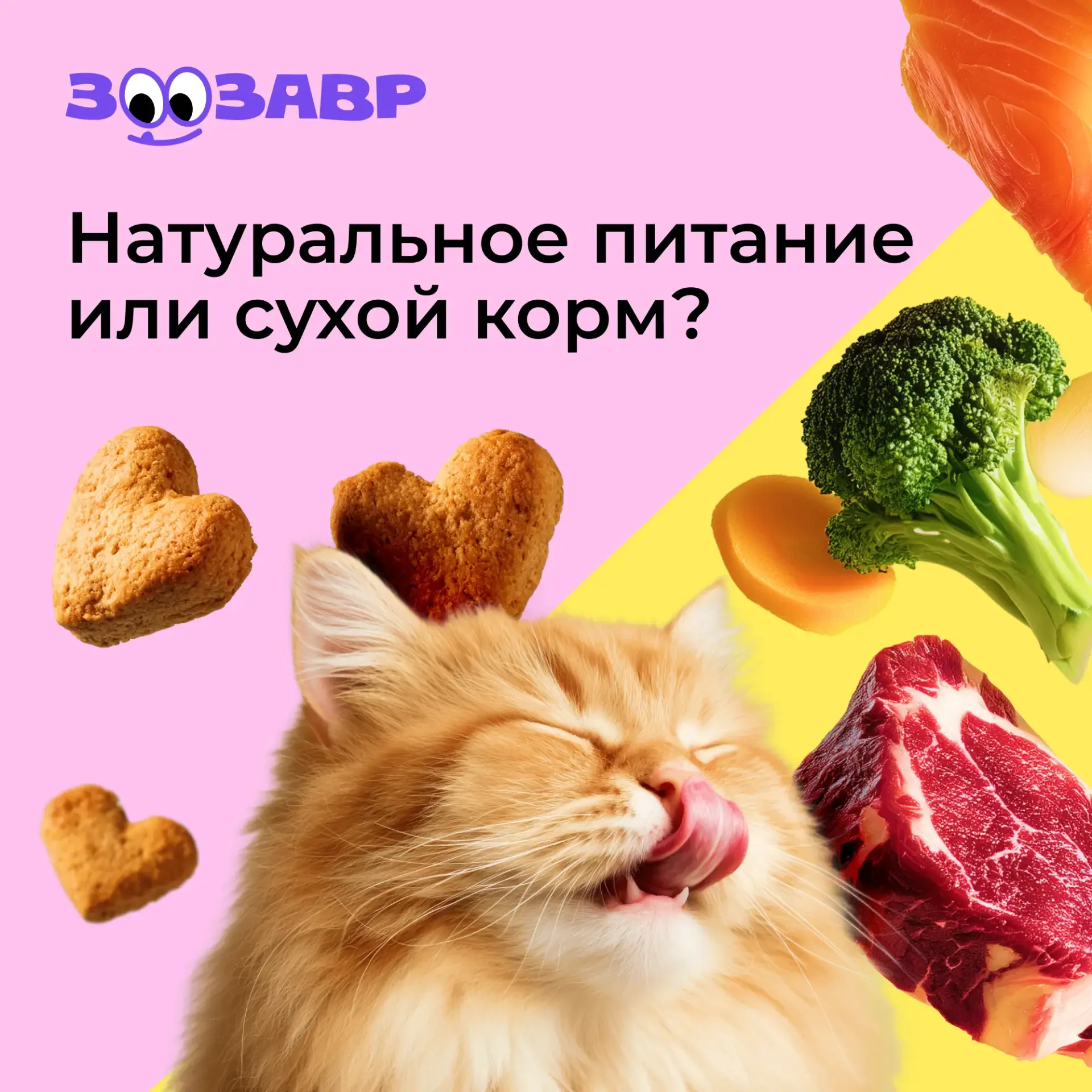 А вы как считаете, что лучше — натуральное питание или сухой корм?  Делитесь опытом и советами в ком