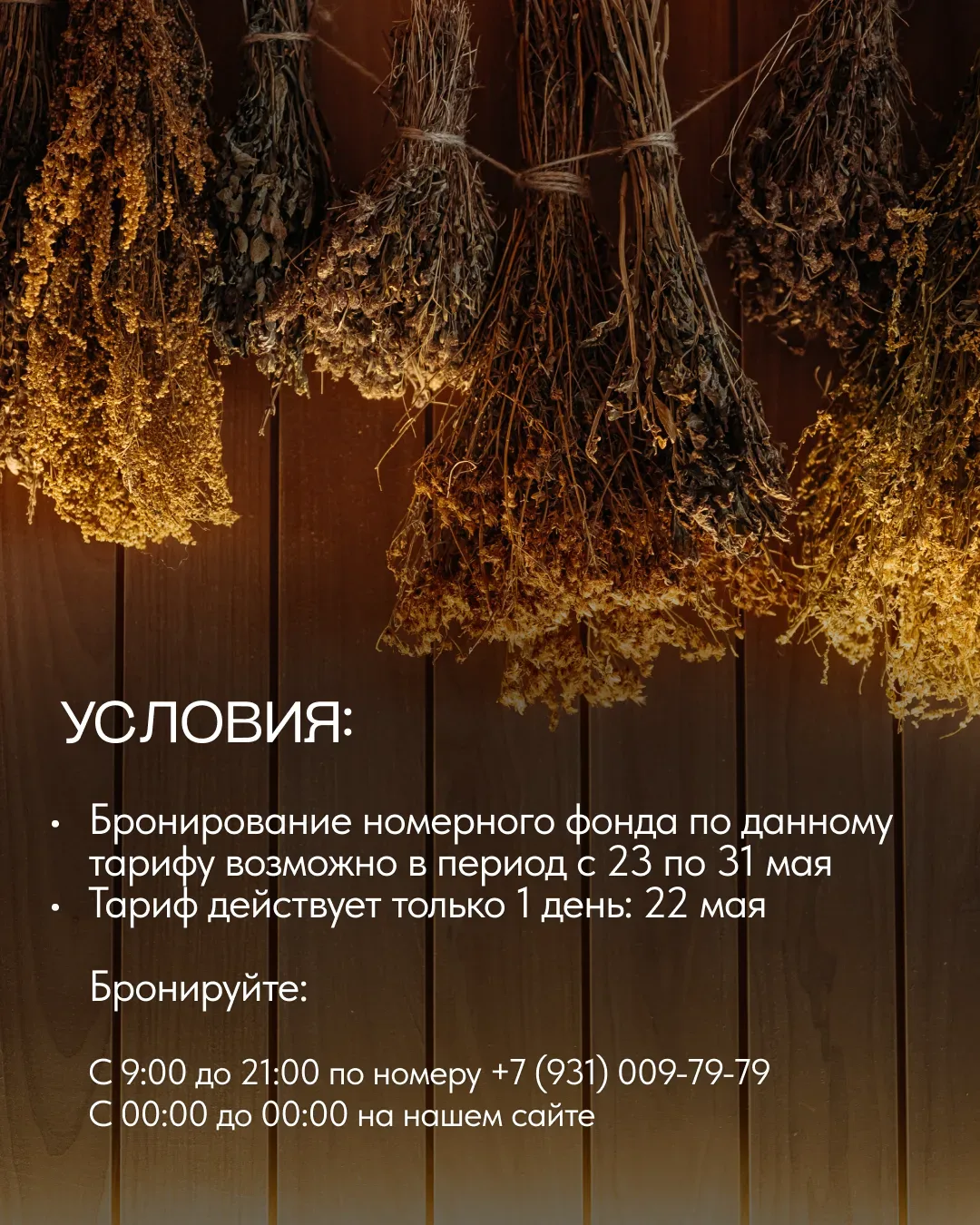 В «Хвое Ногинск» появилась своя «Зелёная пятница» 🌿  Только один день — 22 мая можно забронировать о
