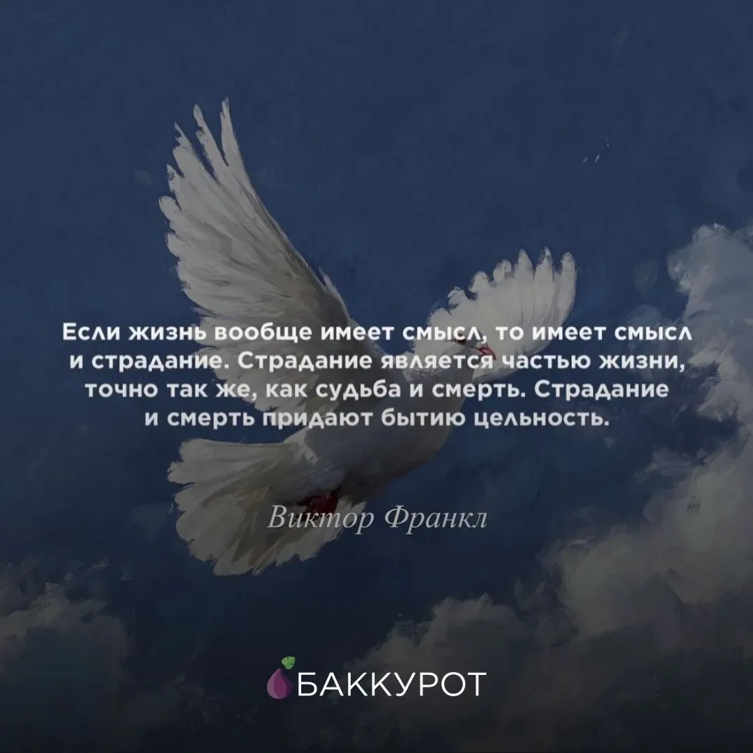 Команда «Баккурота» от всей души поздравляет вас с праздником — с Днем Победы 🕊️  Сегодня мы хотим в