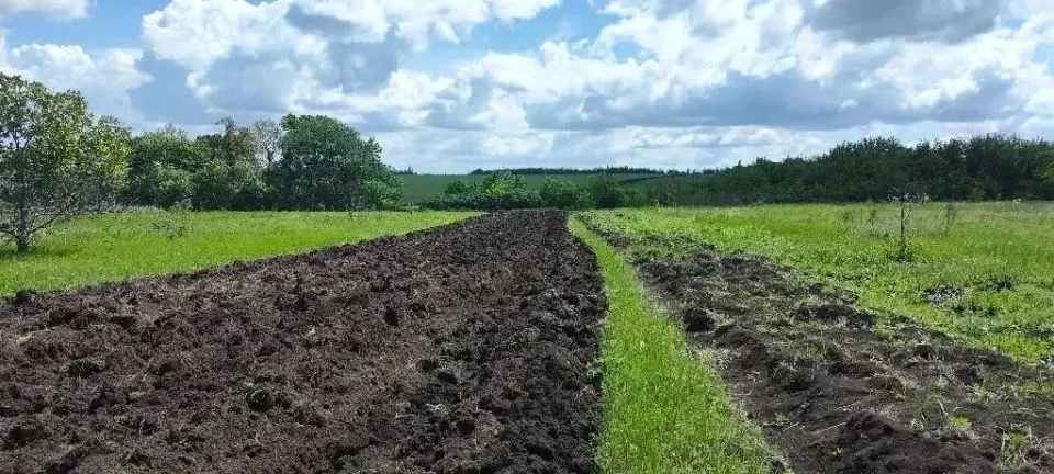🚜 Защищаем поселок от огня: в Хрустальном создают противопожарные рубежи  22 мая специалисты отдела 