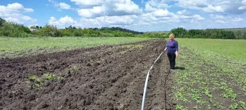 🚜 Защищаем поселок от огня: в Хрустальном создают противопожарные рубежи  22 мая специалисты отдела 