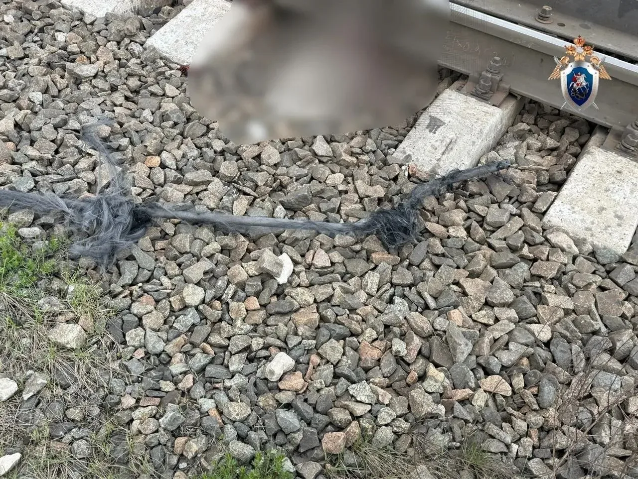 ⚡️СК начал проверку после гибели 16-летнего подростка в Васильево  ​Стали известны подробности утрен