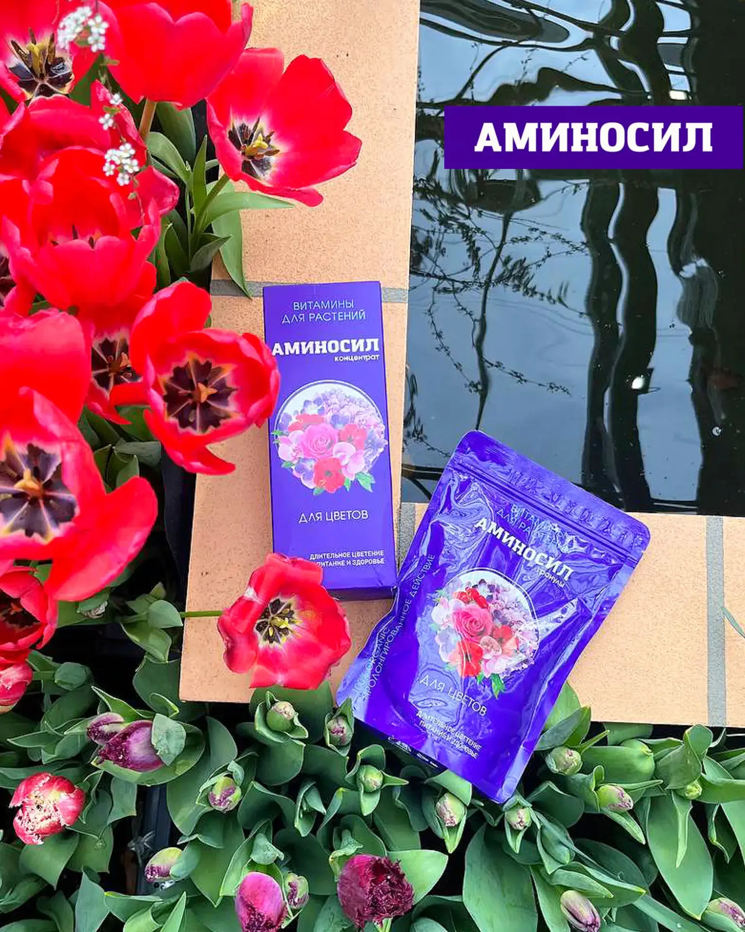 💚 Итоги отбора в проект ТМ Аминосил подведены!  Друзья, спасибо каждому, кто заполнил анкету, расска