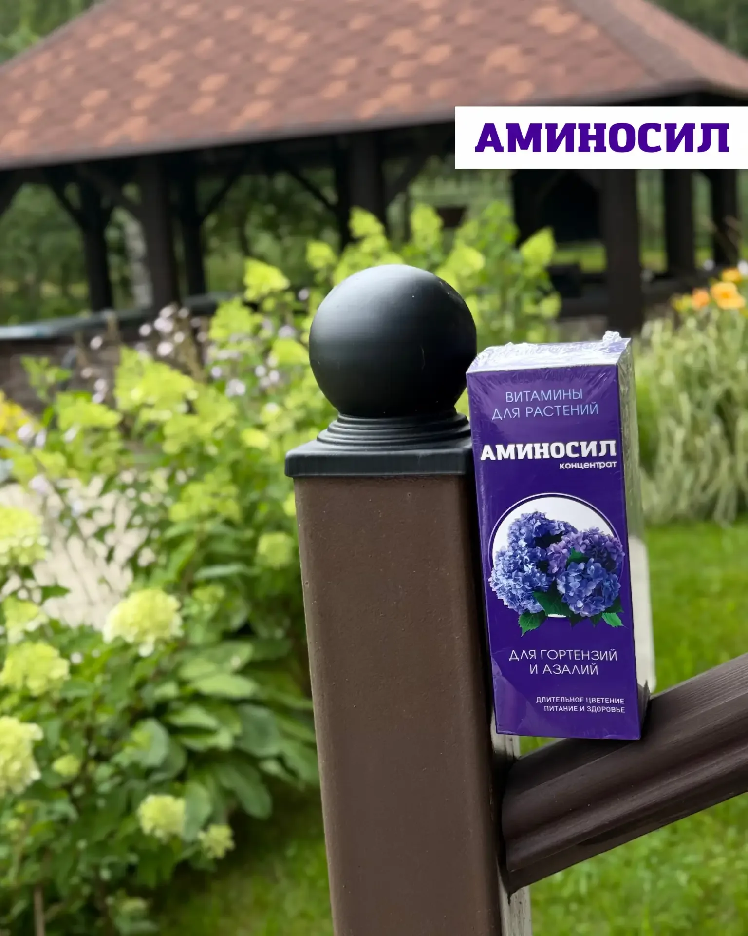 🌸 Мощная подкормка для молодой гортензии: быстрый рост и яркая зелень  Если ваша гортензия только на