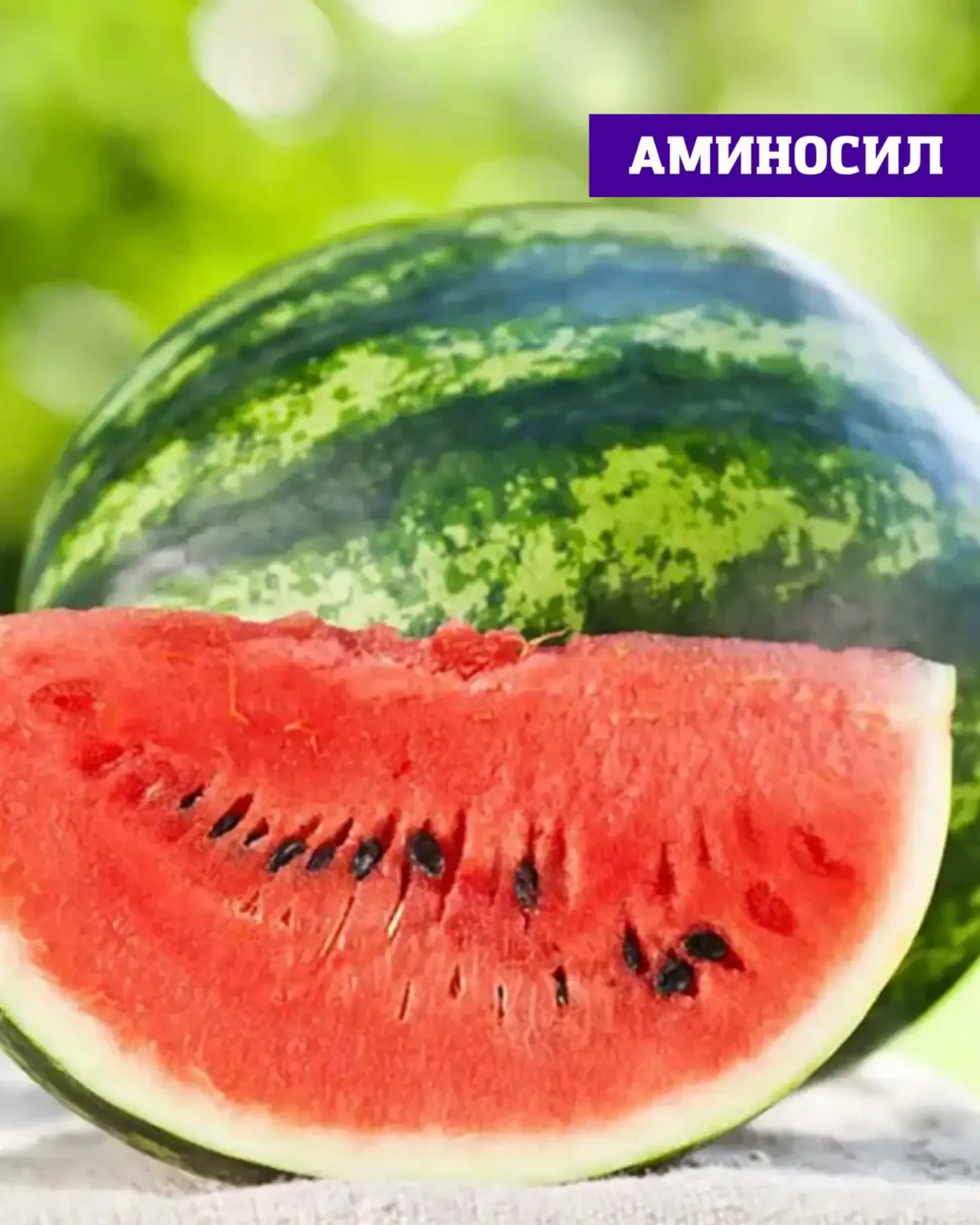 Вырастить сладкие арбузы на своём участке — вполне реально 🍉  Главное — правильно подобрать сорта и 