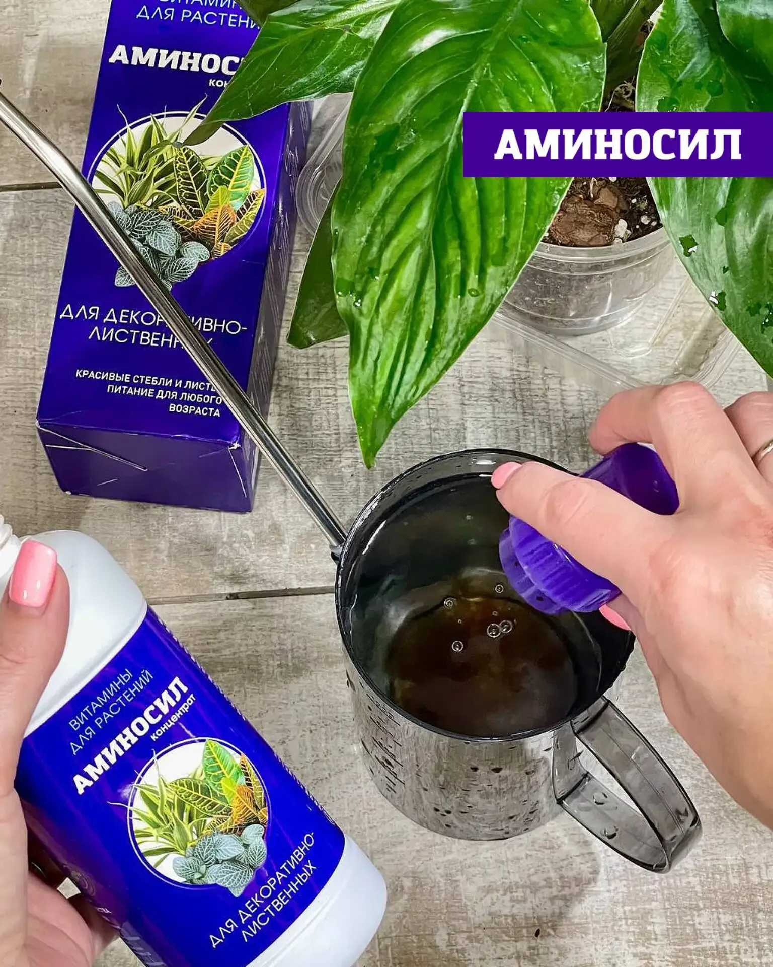 🌸 ЛЕТО — РЕШАЮЩИЙ ПЕРИОД ДЛЯ КОМНАТНЫХ РАСТЕНИЙ  Сейчас тот самый момент, когда закладывается всё: б