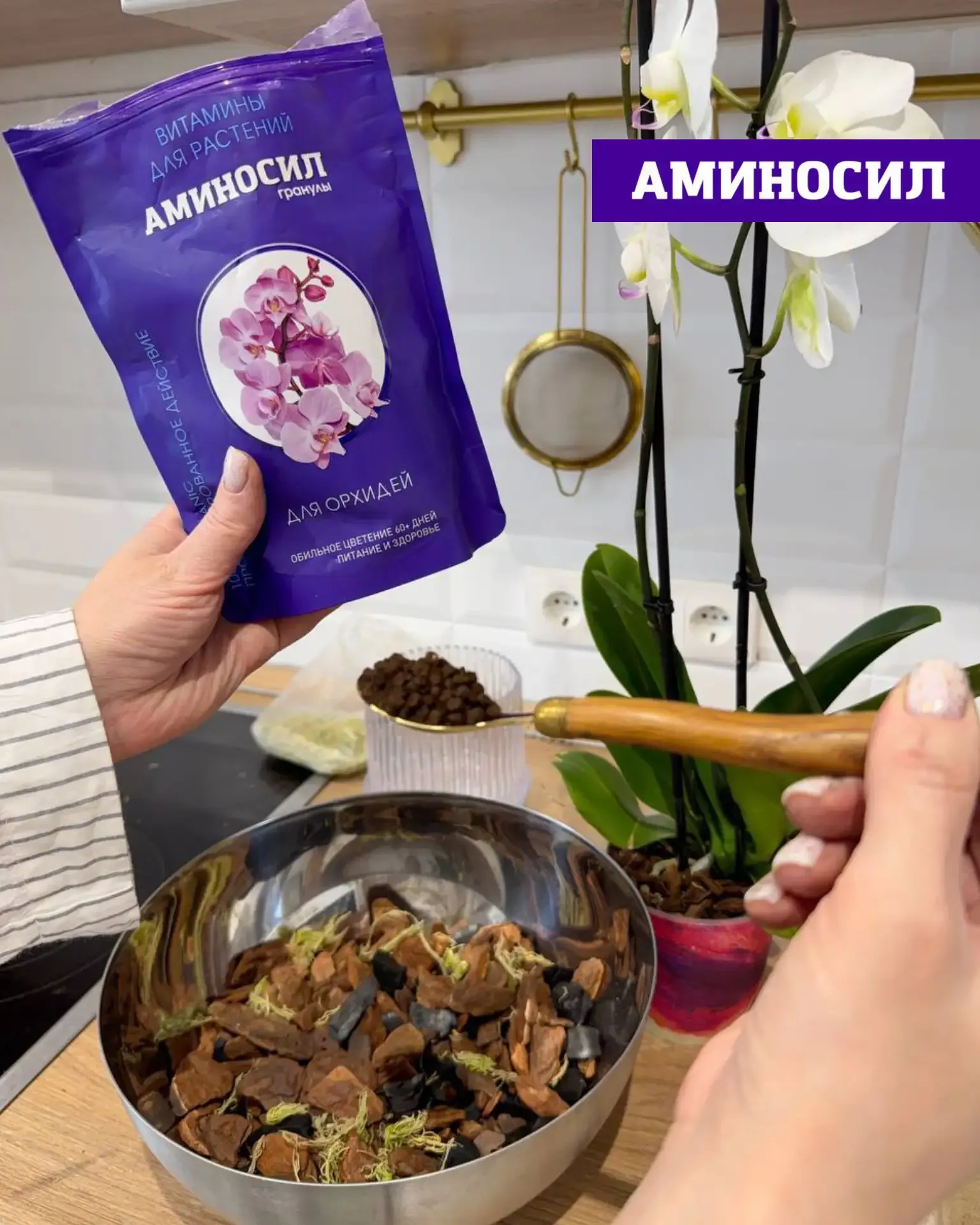 🌸 ЛЕТО — РЕШАЮЩИЙ ПЕРИОД ДЛЯ КОМНАТНЫХ РАСТЕНИЙ  Сейчас тот самый момент, когда закладывается всё: б