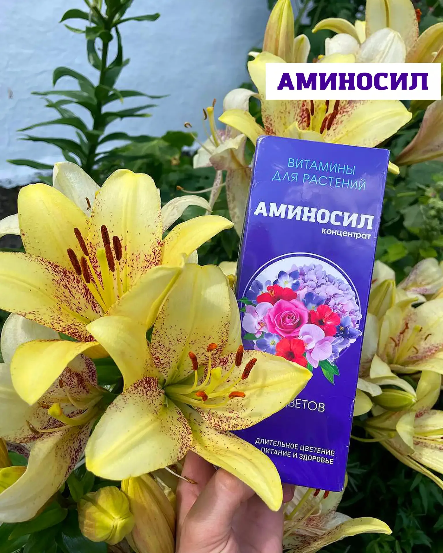🌿 Кашпо, которые собирают взгляды: готовые идеи на лето  Хочется не просто «посадить цветы», а получ