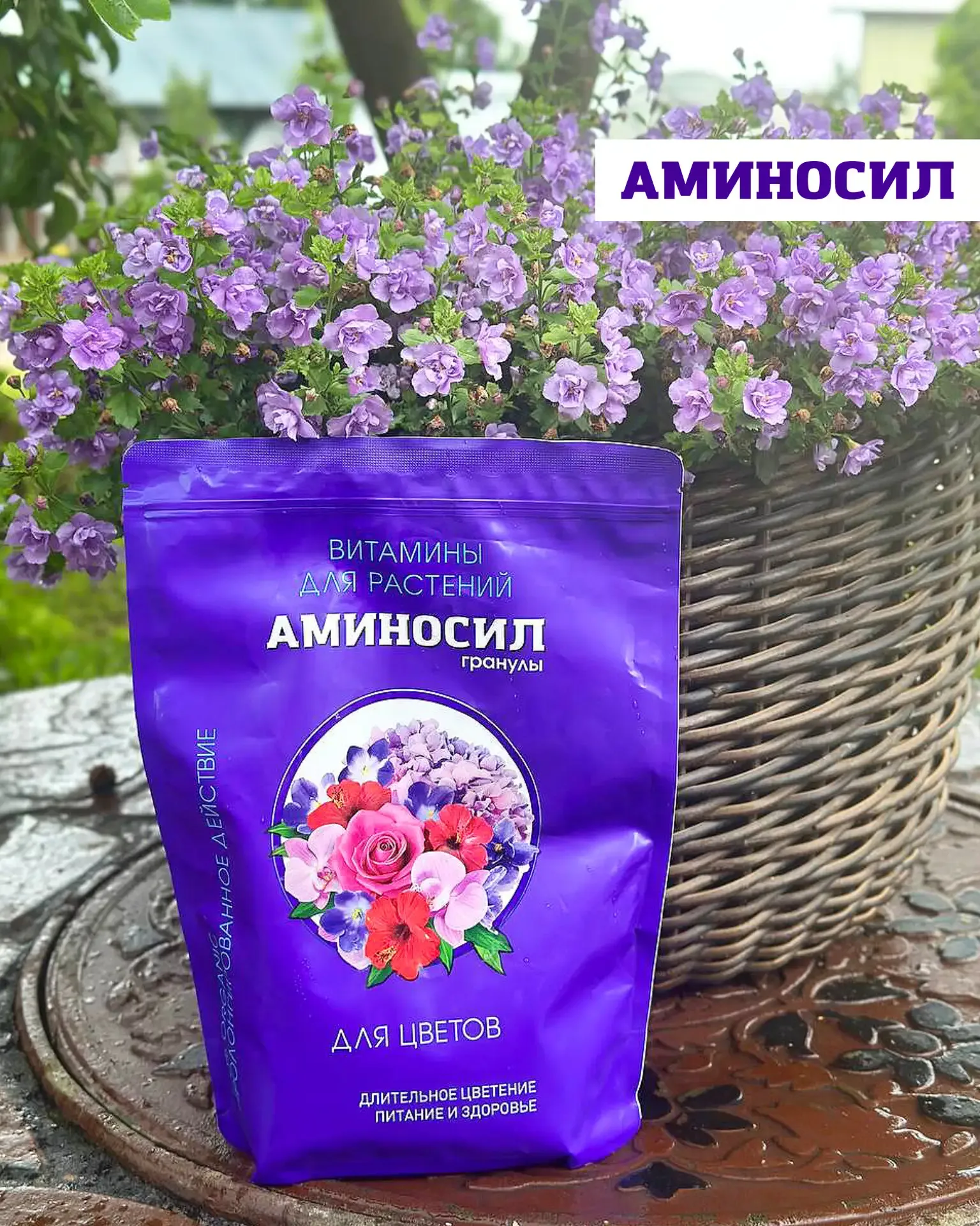 🌿 Кашпо, которые собирают взгляды: готовые идеи на лето  Хочется не просто «посадить цветы», а получ