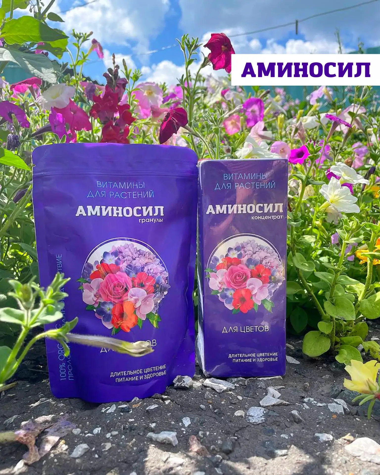 🌿 Кашпо, которые собирают взгляды: готовые идеи на лето  Хочется не просто «посадить цветы», а получ