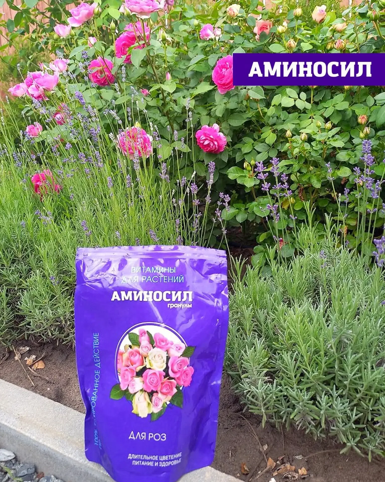 Хотите, чтобы сад выглядел как с обложки журнала? 🌸🌹  Пышное цветение роз, гортензий и петуний — это