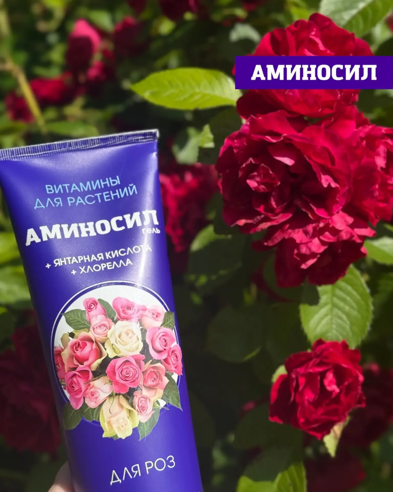 Хотите, чтобы сад выглядел как с обложки журнала? 🌸🌹  Пышное цветение роз, гортензий и петуний — это
