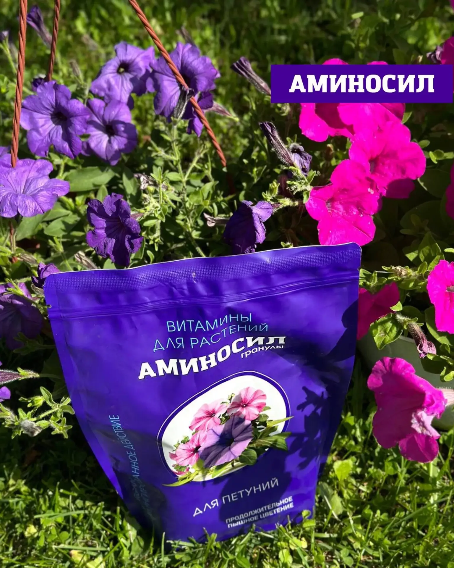 Хотите, чтобы сад выглядел как с обложки журнала? 🌸🌹  Пышное цветение роз, гортензий и петуний — это