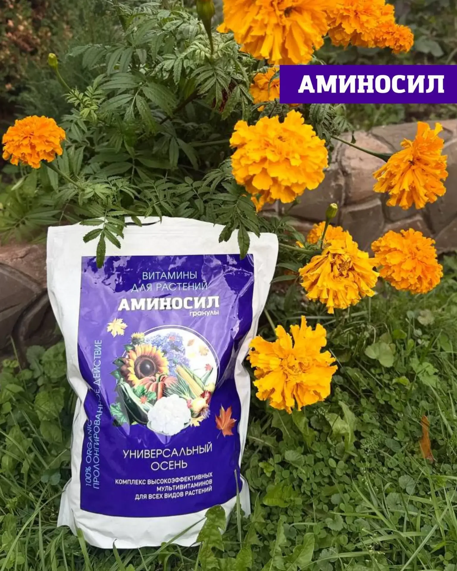 Зеленый ковер и здоровые деревья без лишних хлопот! 🌿🏡  Газон и хвойные — самые капризные элементы с