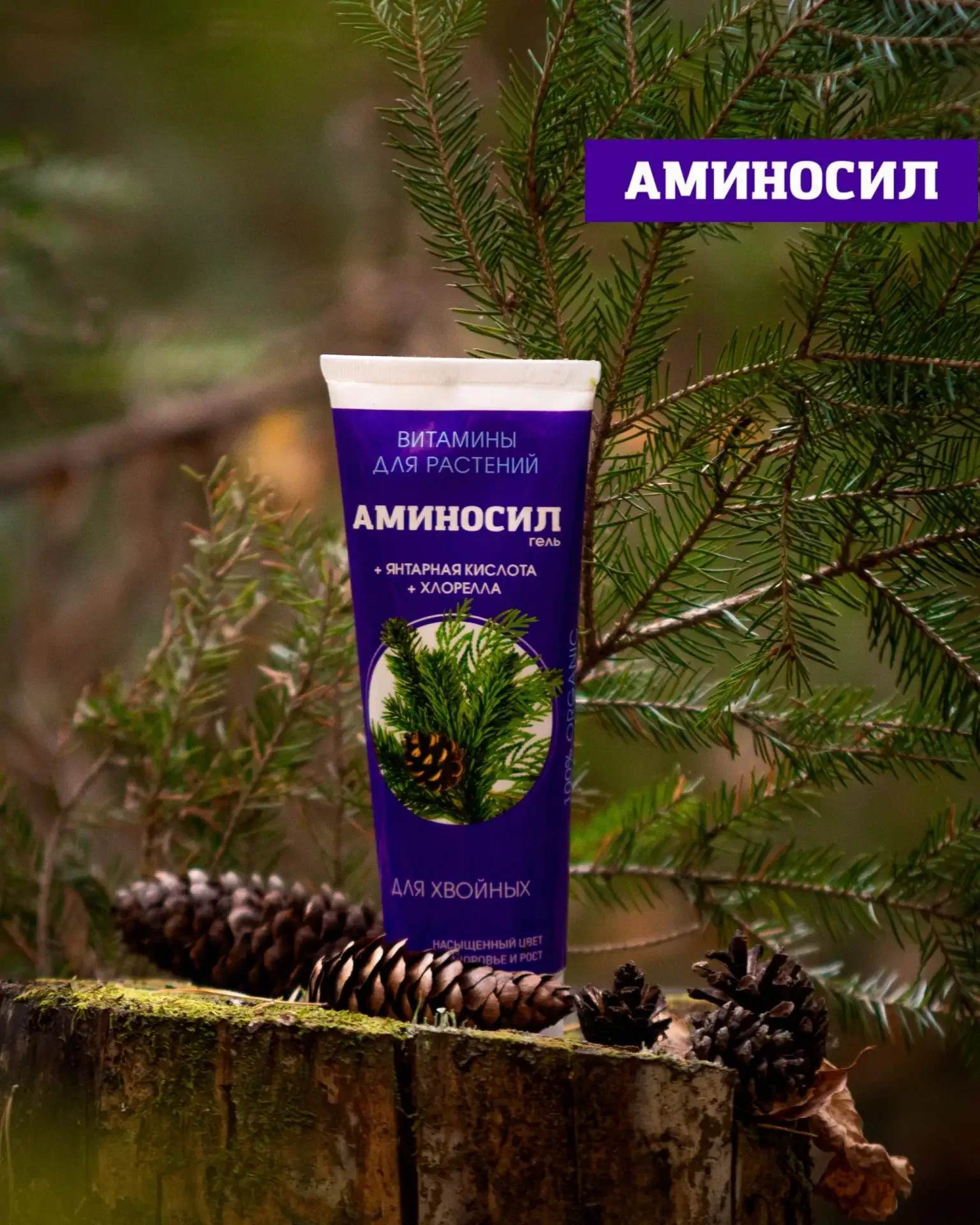 Зеленый ковер и здоровые деревья без лишних хлопот! 🌿🏡  Газон и хвойные — самые капризные элементы с