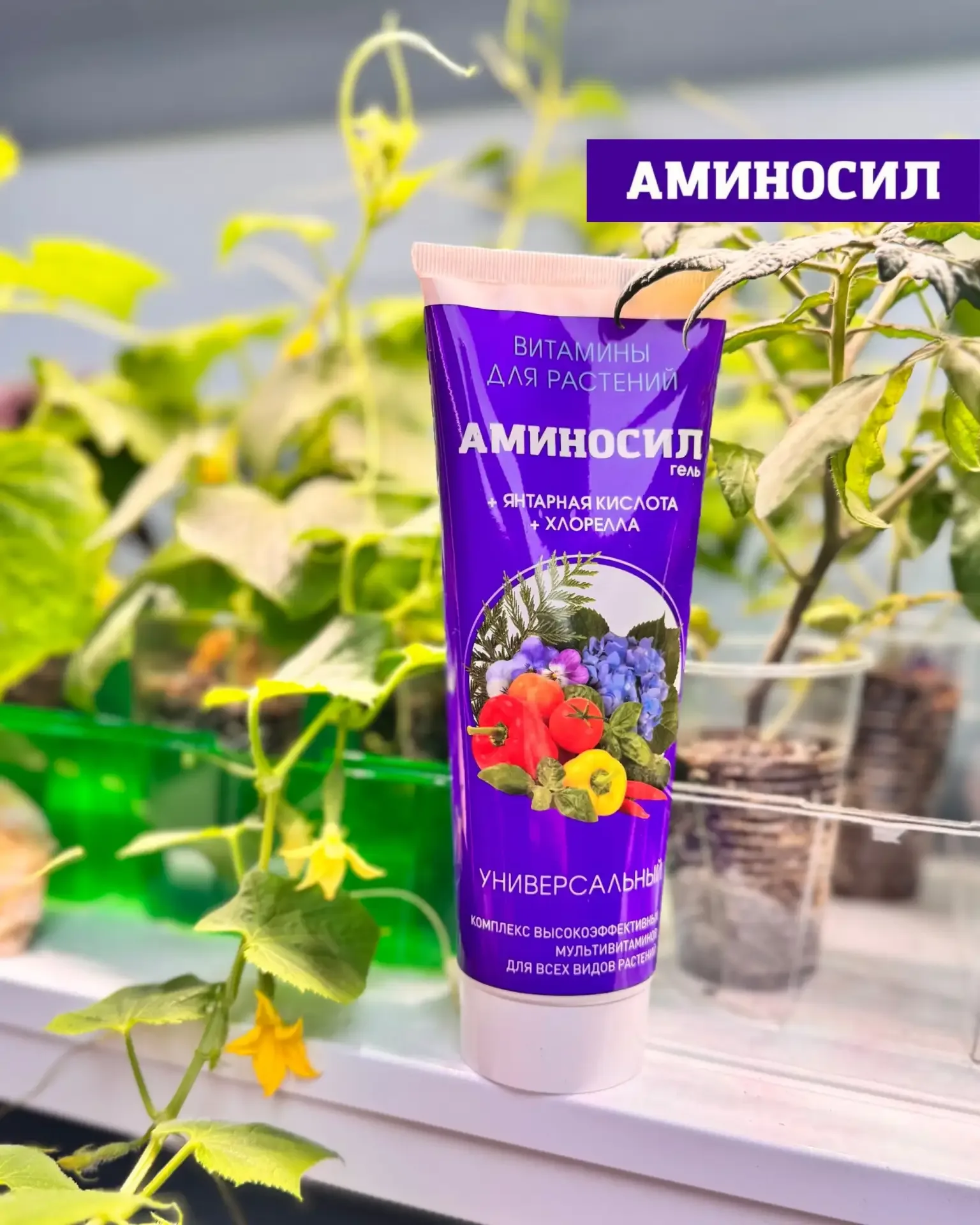 Зеленый ковер и здоровые деревья без лишних хлопот! 🌿🏡  Газон и хвойные — самые капризные элементы с