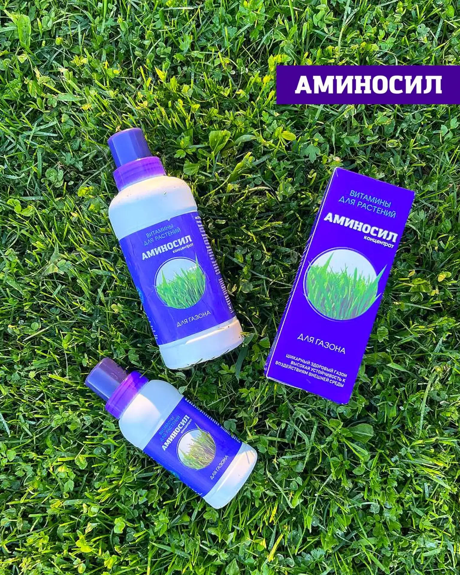 Зеленый ковер и здоровые деревья без лишних хлопот! 🌿🏡  Газон и хвойные — самые капризные элементы с