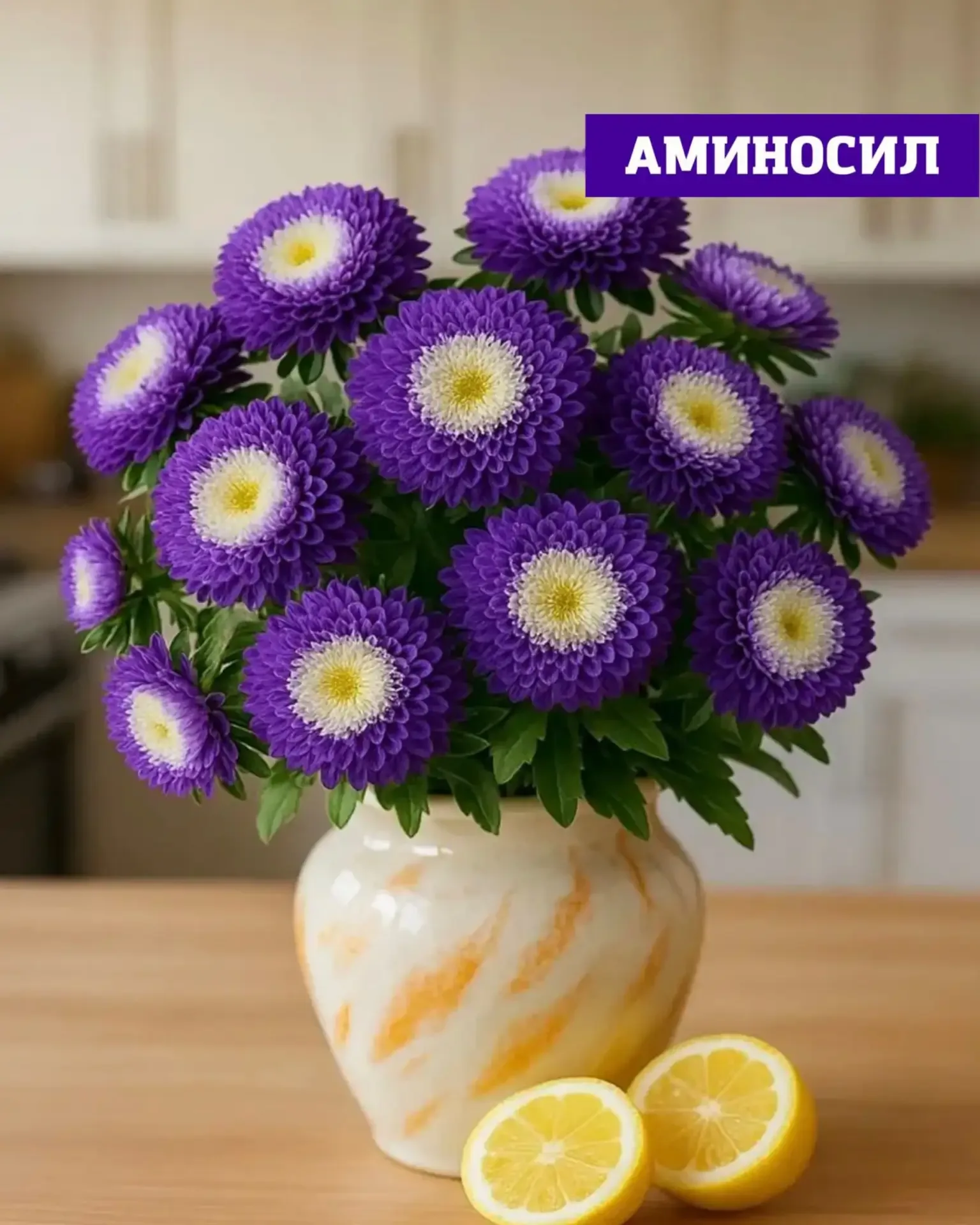 🌸 ПОЗДНИЙ ПОСЕВ — ЯРКИЙ РЕЗУЛЬТАТ!  Если не успели посадить цветы вовремя — это не повод отказыватьс