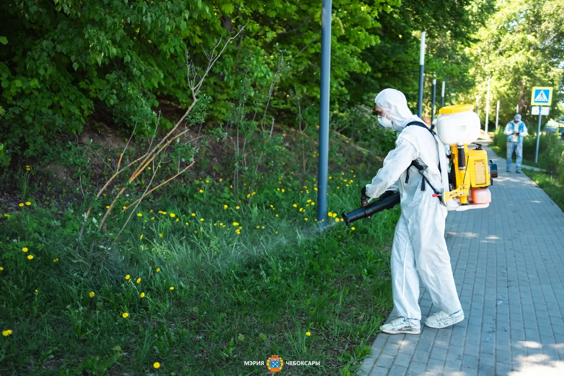 В Чебоксарах продолжается обработка территорий от клещей и комаров  Акарицидная обработка проводится