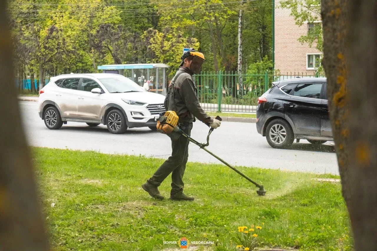 С заботой о зеленых насаждениях города  Красота города включает в себя живую природу, которая окружа