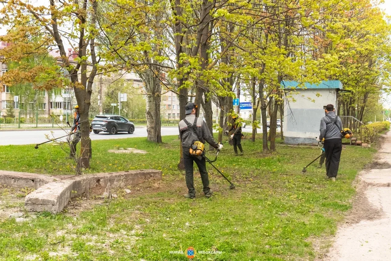 С заботой о зеленых насаждениях города  Красота города включает в себя живую природу, которая окружа