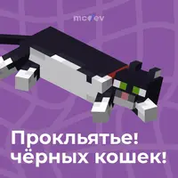 Пост21.webp Пост21.webp