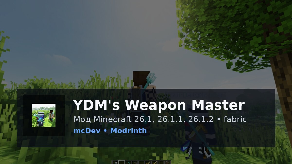 YDM's Weapon Master