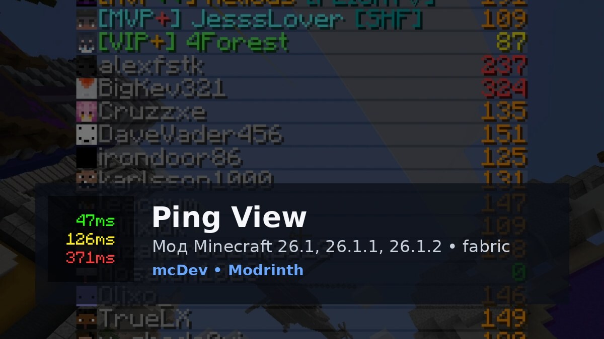 Ping View