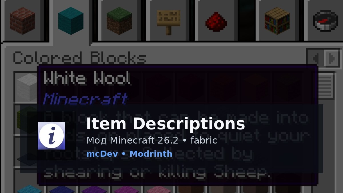 Item Descriptions