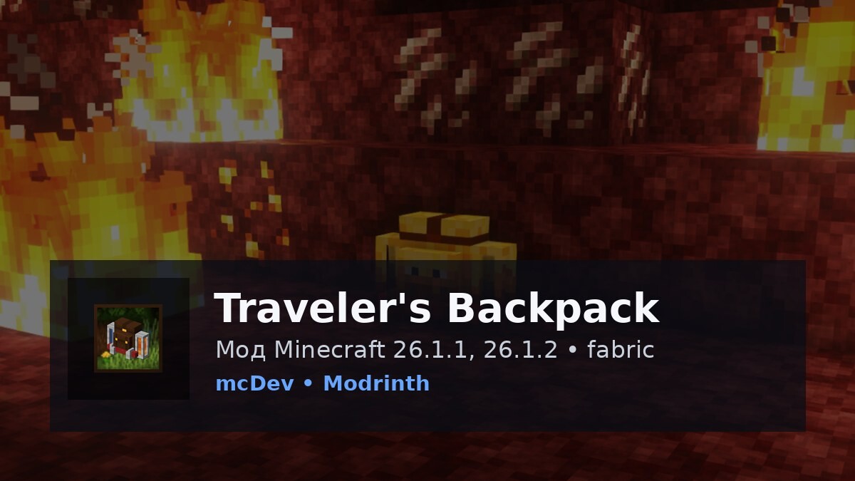 Traveler's Backpack