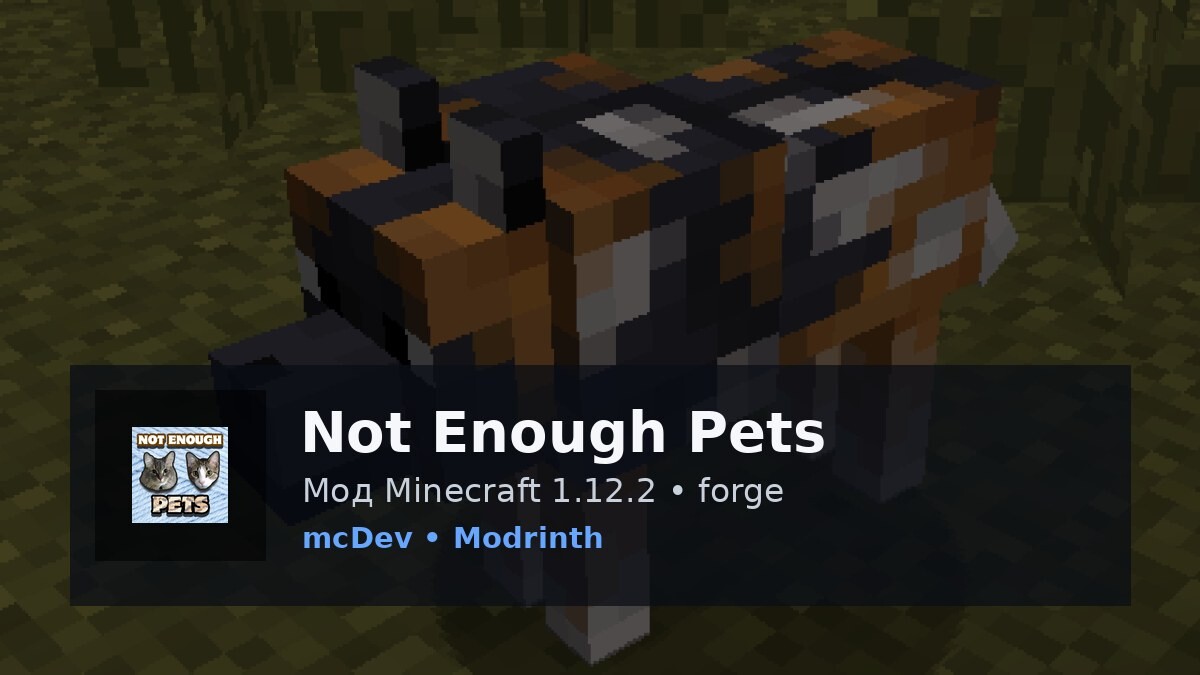 Not Enough Pets