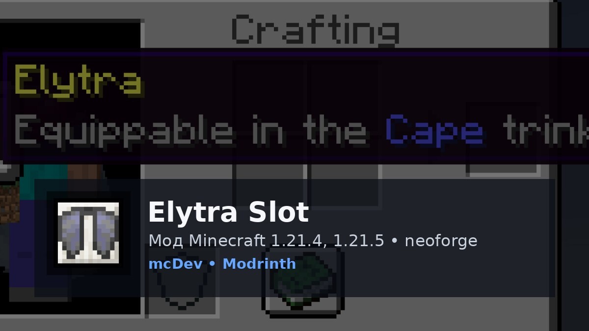Elytra Slot