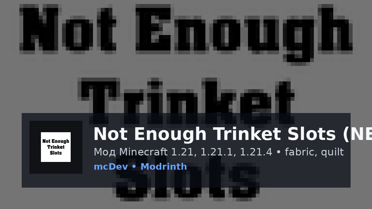 Not Enough Trinket Slots (NETS)