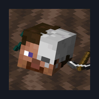 Universal Graves