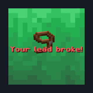 Broken Lead Warner
