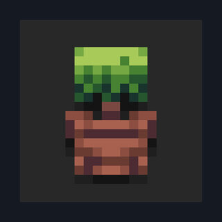 Botanical Pots