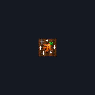 Carrot Rarity