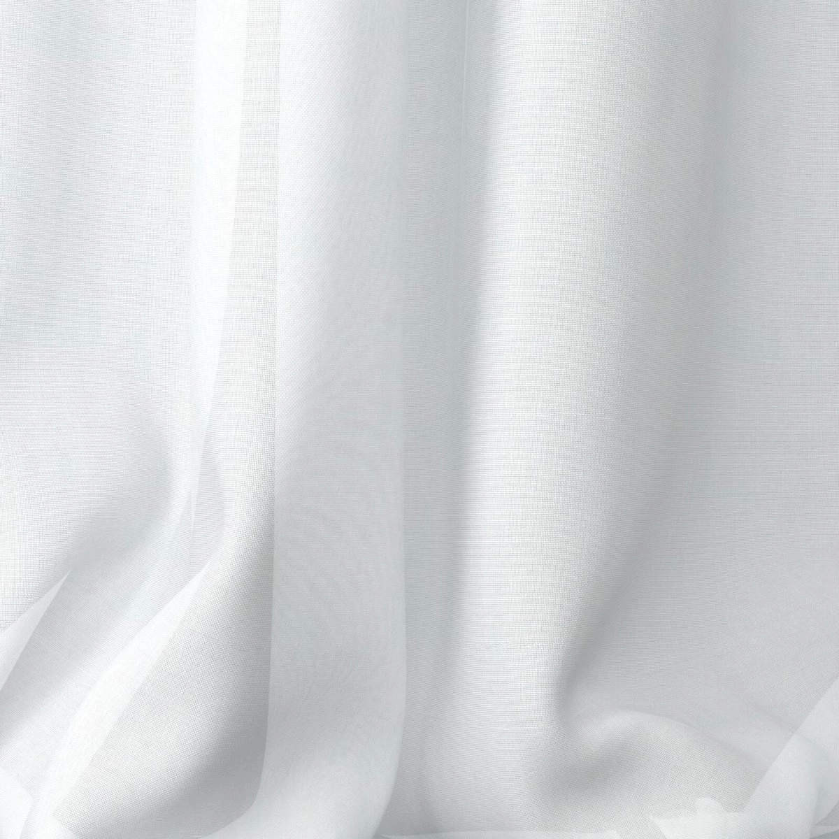 026 Ivory-main