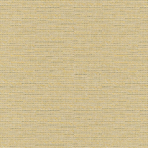 68ceaced0845b548365850f4.jpg